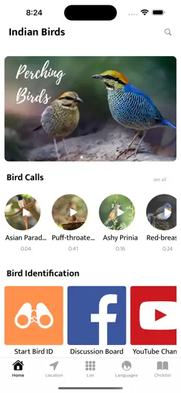 Game screenshot Indian Birds mod apk