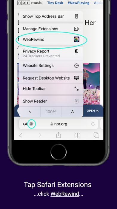 Screenshot #3 pour WebRewind
