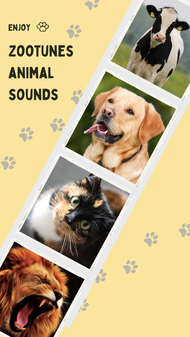 ZooTunes Animal Sounds Screenshot
