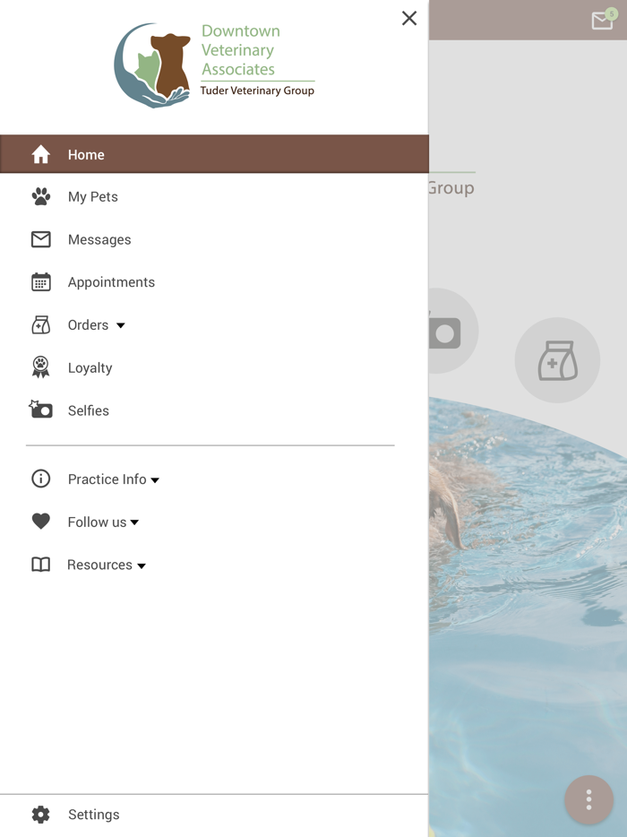 Downtown Veterinary Assoc