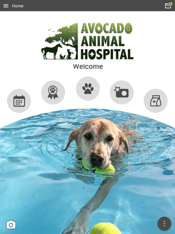 Avocado Vet iPad screenshot 1 - Business app