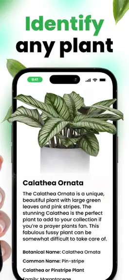 Game screenshot Plantix - Plant Identifier apk