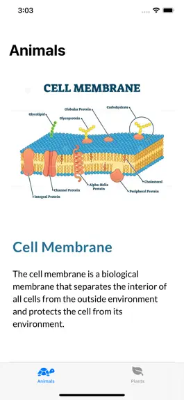 Game screenshot Cell Structure mod apk