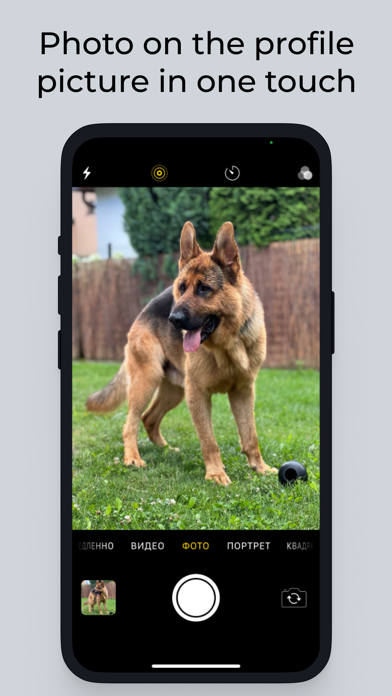 Dog Calendar Screenshot