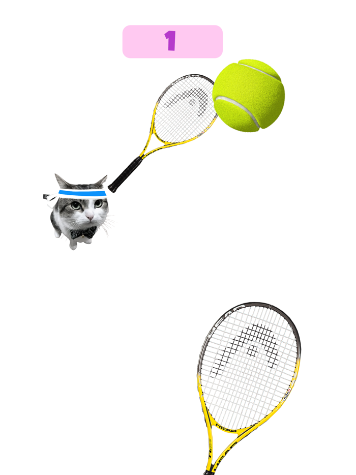 Dog and Cat Tennis
