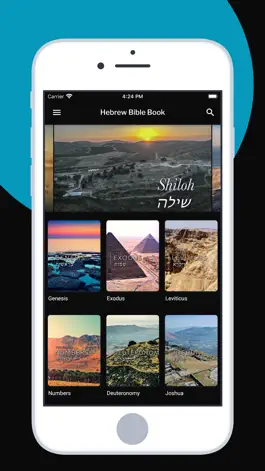 Game screenshot My Land Israel hack