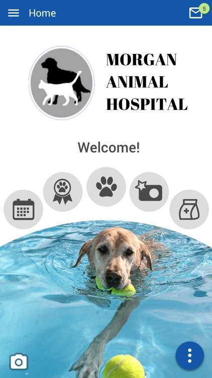 Morgan Animal Hospital