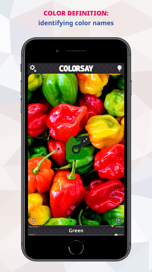 #8. ColorSay • Color Scanner (iOS) 由: White Marten GmbH