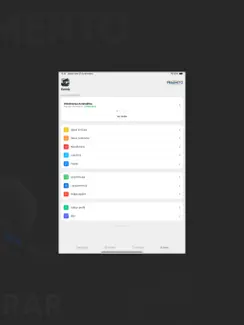 Frias Neto iPad image 3