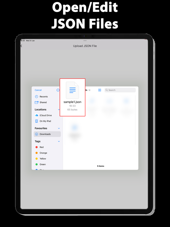 JSON Editor Viewer XML PDF