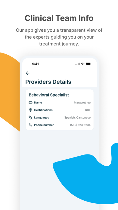 CSD Connect Client Screenshot