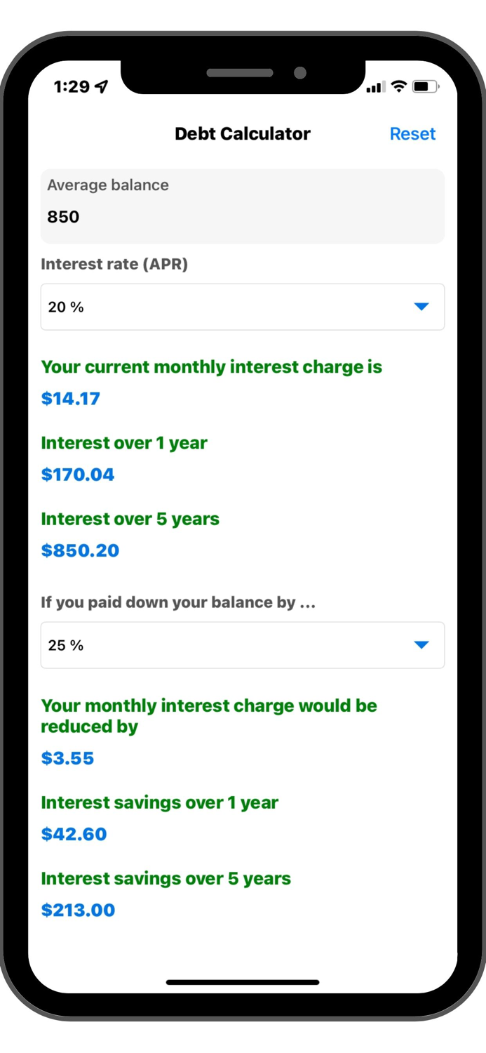 Debt Interest Calculator