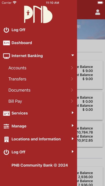 PNB Mobile Banking. screenshot-4