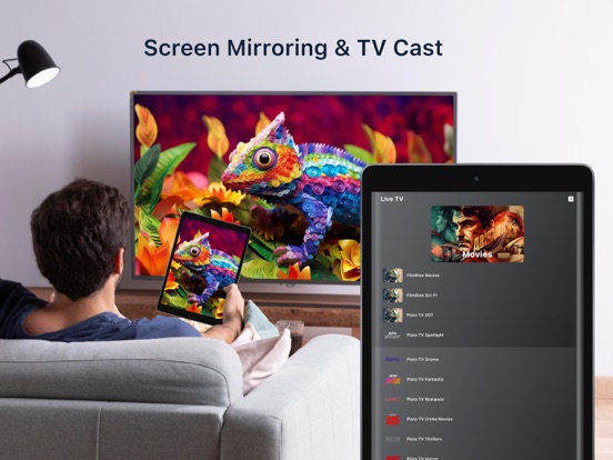 Screen Cast - TV Mirroring