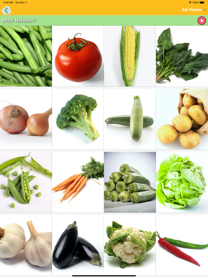 İlk Kelimelerim Kartları