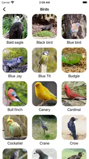 animal sounds & bird noises` iphone screenshot 4