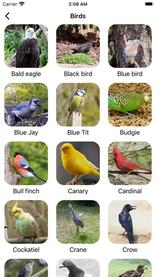 Screenshot von Animal Sounds & Bird Noises` auf dem iPhone 4