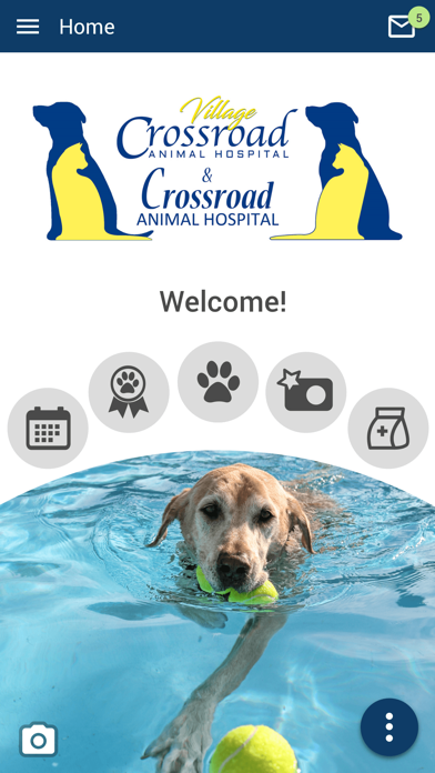 CrossroadVet Screenshot