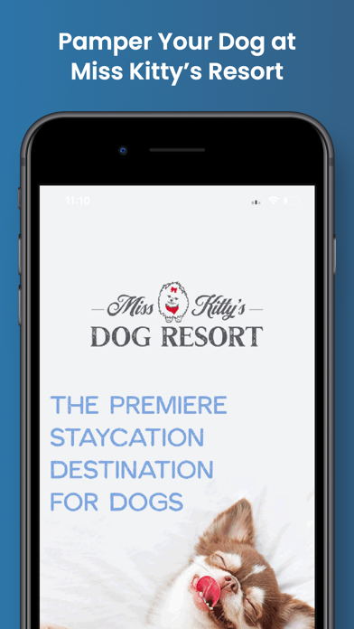 Miss Kitty’s Dog Resort Screenshot