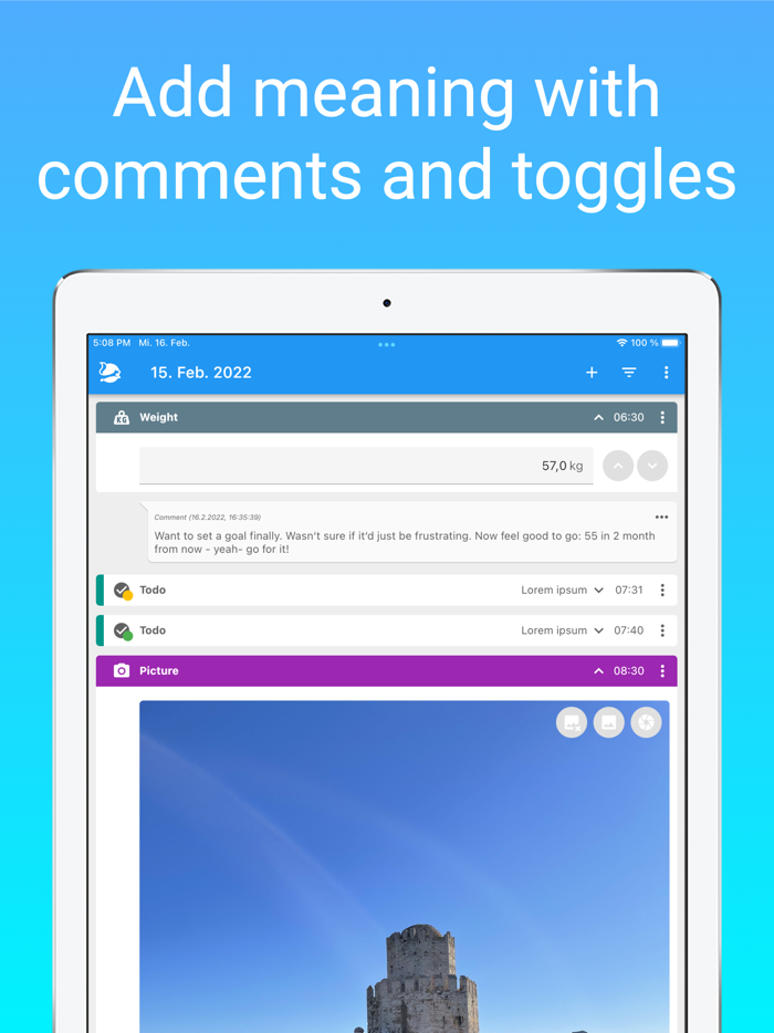 Nuggets - Structured diary