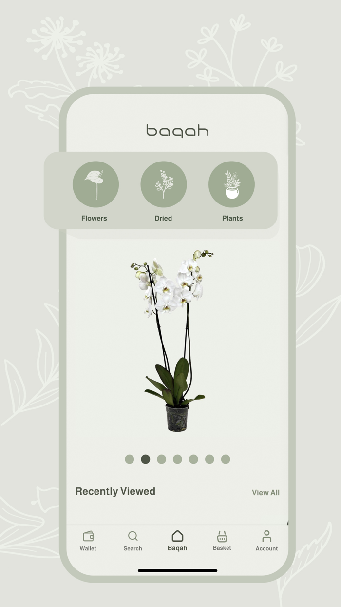 Baqah - Flowers and Plants