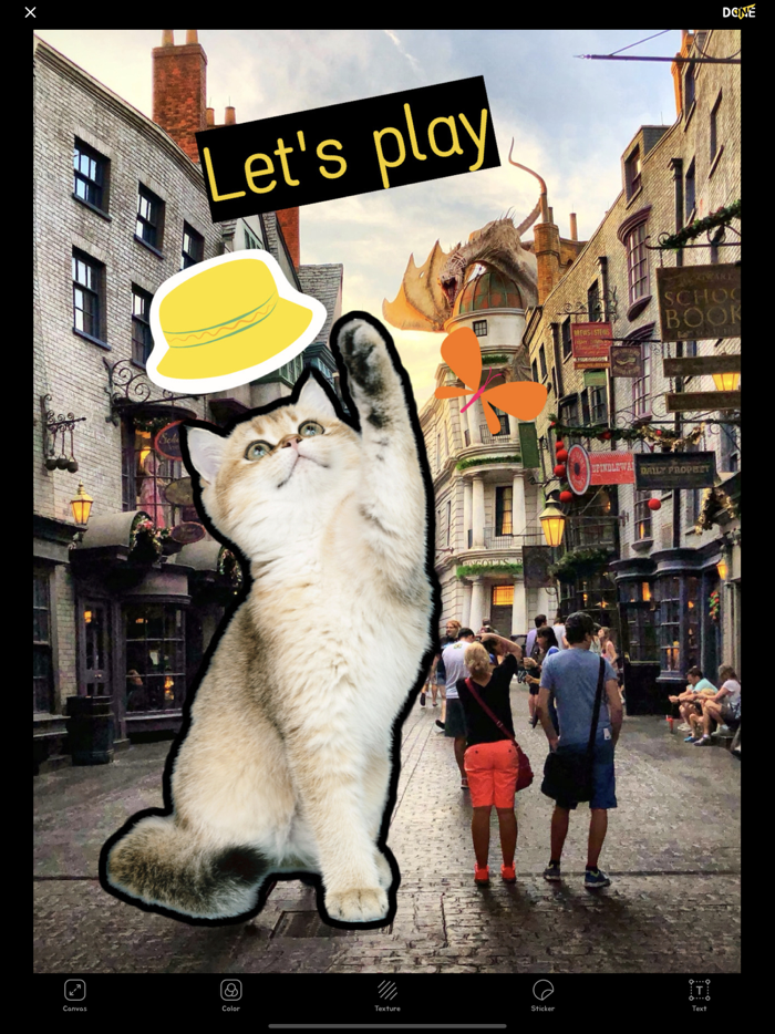 PICO - Picture is so cool