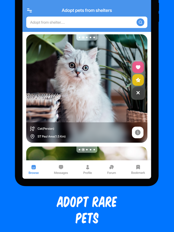 Screenshot #6 pour Pet Adopter: adopt pets