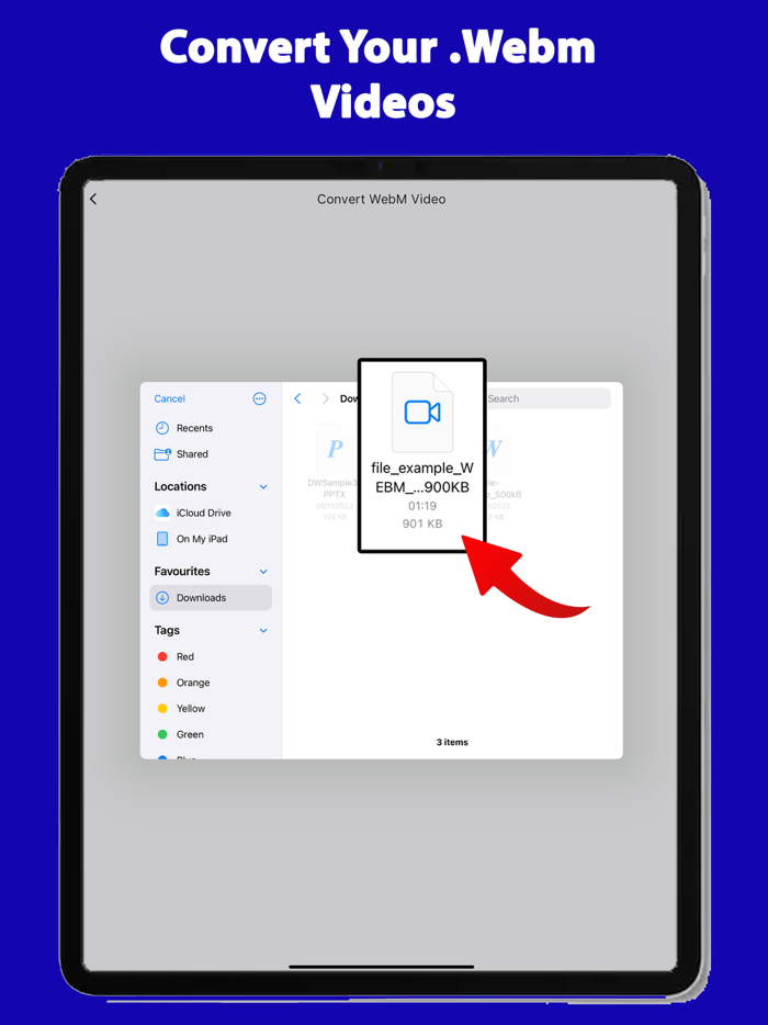Webm Video Reader MP4 Convert