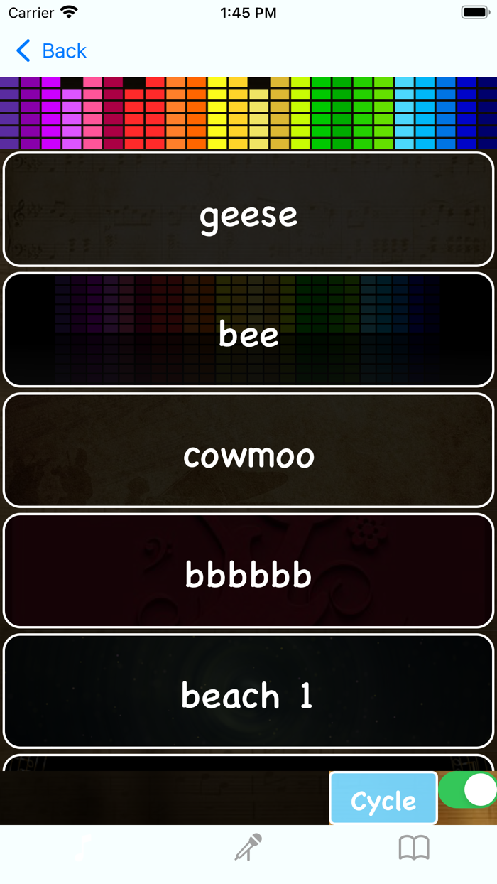 Sound Effect and Pure music