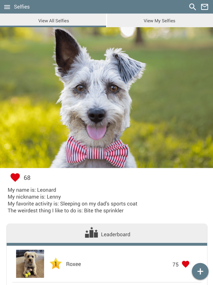 Branchs Vet Clinic Nashville