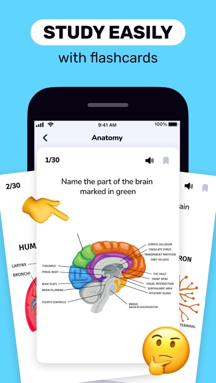 Flashcards Maker: Study Clever