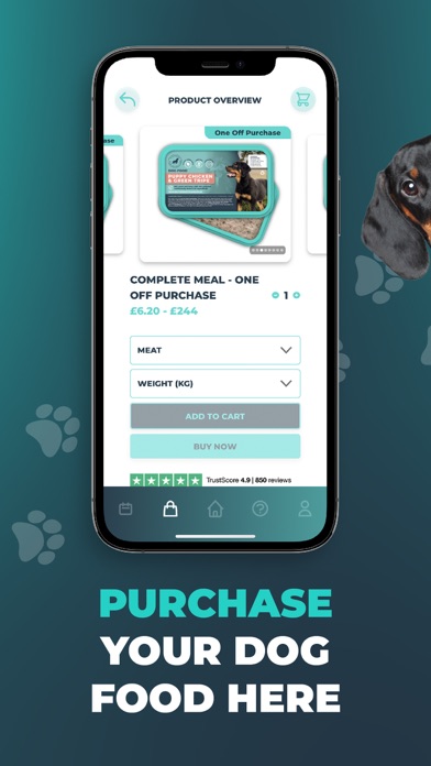 Southend Dog Training Screenshot