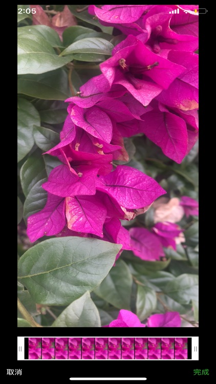 金色剪辑-视频剪辑助手