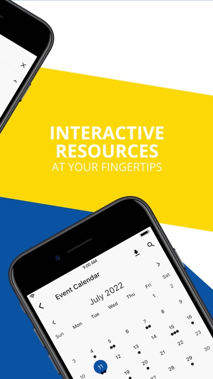 Central Consolidated Schools