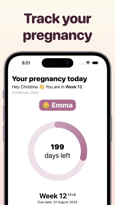 Pregnancy Tracker Countdown Screenshot