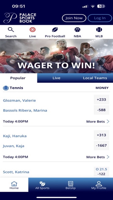 PALACE SPORTS BOOK Screenshot