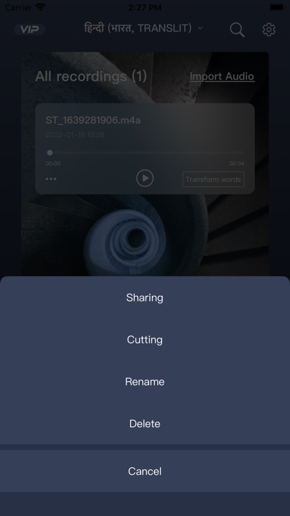 Audio Recorder - profession