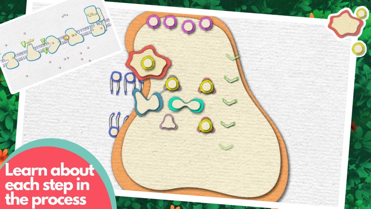 Powerhouse of the Cell screenshot-3