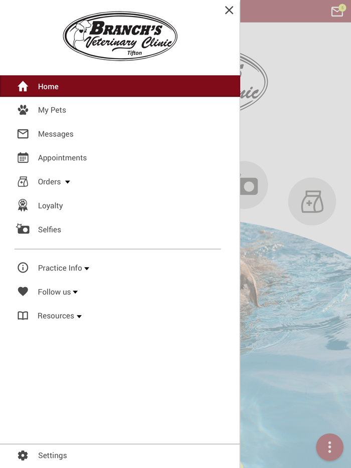 Branchs Vet Clinic Tifton