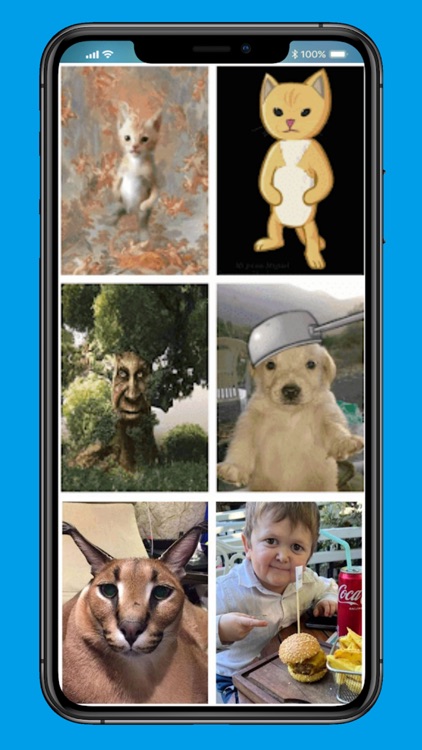 Funny Memes Wallpaper HD