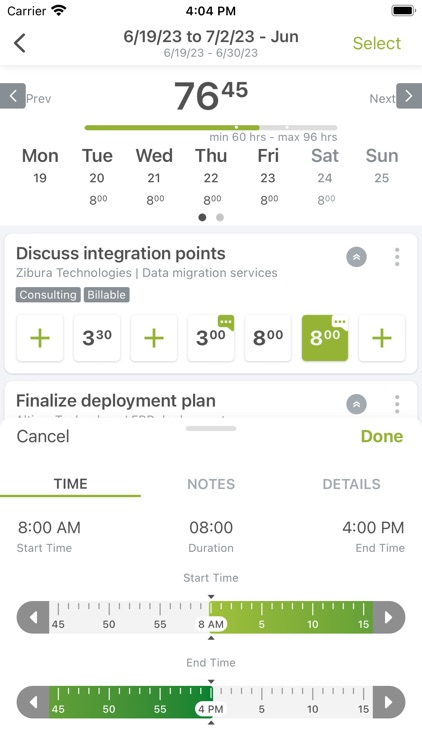 NetSuite SuiteProjects Pro screenshot-3