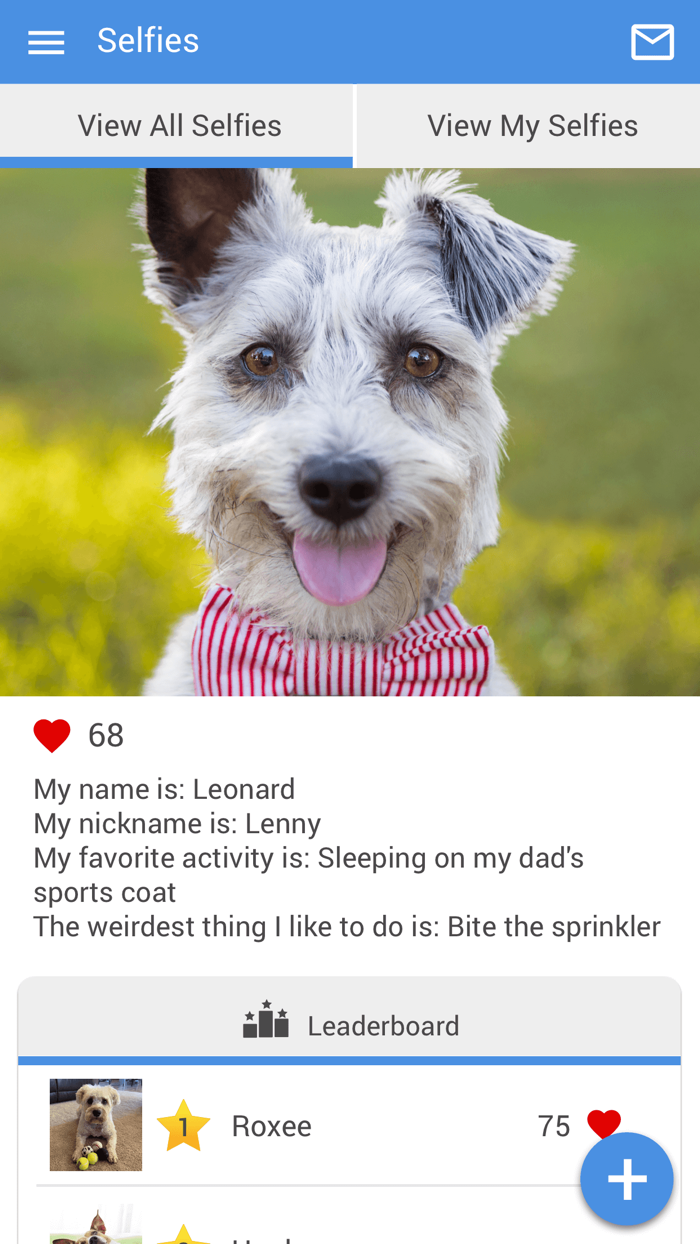 Dr Bruces Animal Hospital