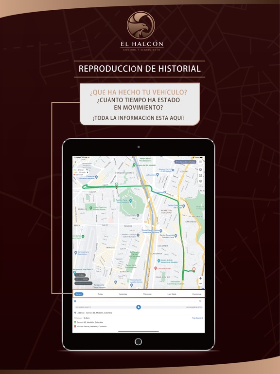 Screenshot #6 pour EL HALCON