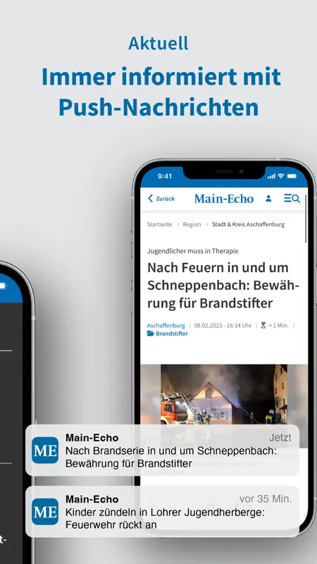 Main-Echo screenshot 6 of 7