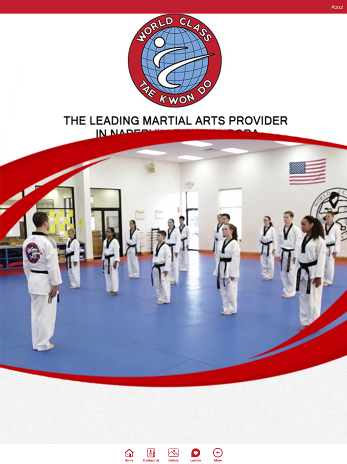 World Class TKD Chicago