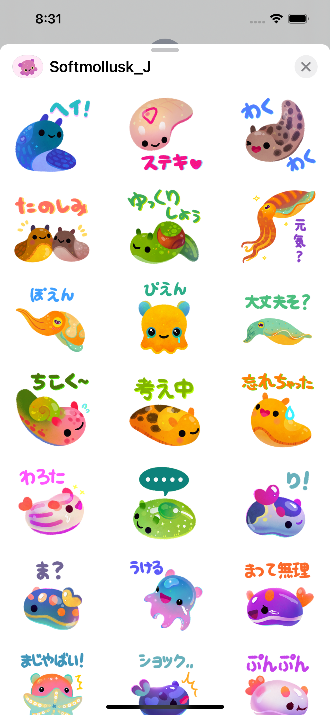 イカ&タコ&ウミウシ
