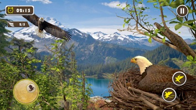 Pet American Eagle Life Sim 3D Screenshot