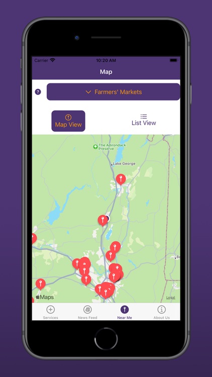 NYS Aging screenshot-4