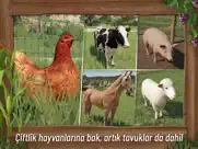 farming simulator 23 ipad resimleri 3