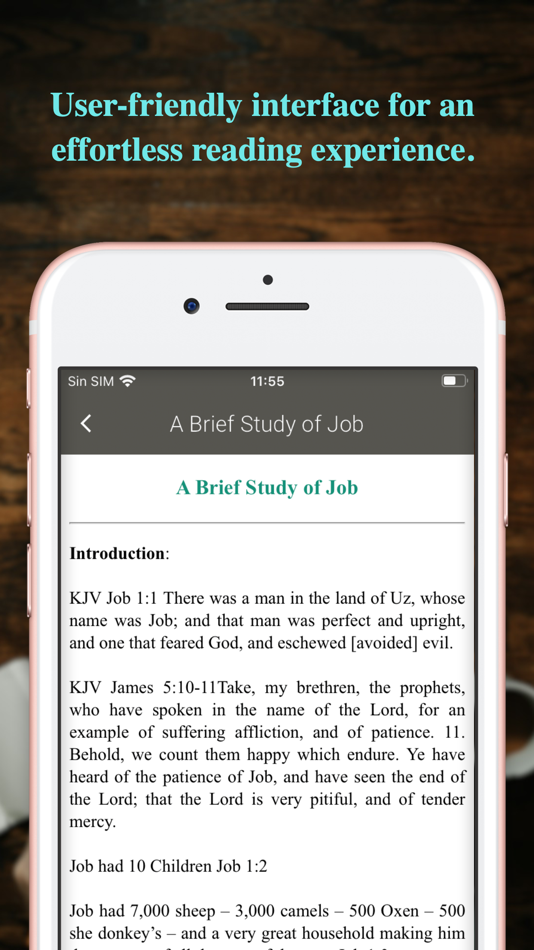 #7. NIV Bible Offline (iOS) 由: VIRGILIO MARTINEZ TERRER